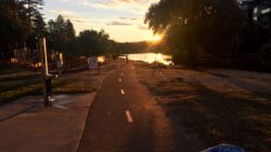 Manly Lagoon : Short Walk