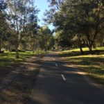 Manly Lagoon Path