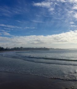 Manly : Shelly Beach