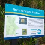 North Narrabeen headland