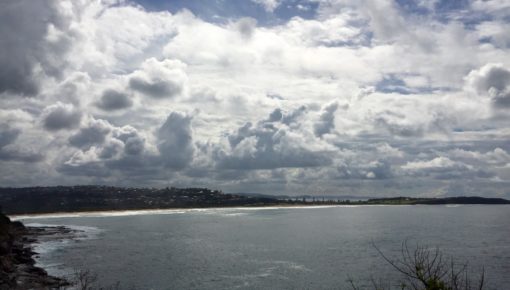 Freshwater : Dee Why Beach