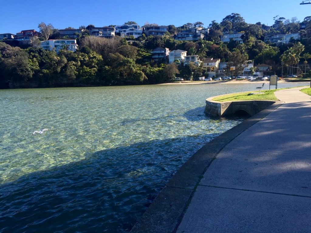 Manly Spit Clontarf path - The Coffee Walker