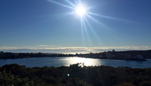 Manly to Spit Bridge Walk